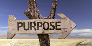 Impact-Masters-op-zoek-naar-je-purpose